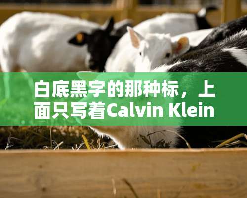 白底黑字的那种标，上面只写着Calvin Klein，属于CK的哪一种