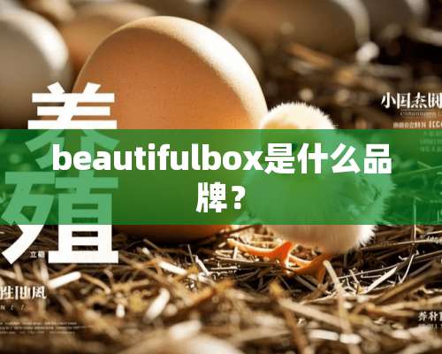 beautifulbox是什么品牌？