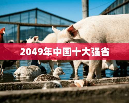 2049年中国十大强省