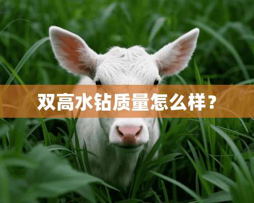 双高水钻质量怎么样？