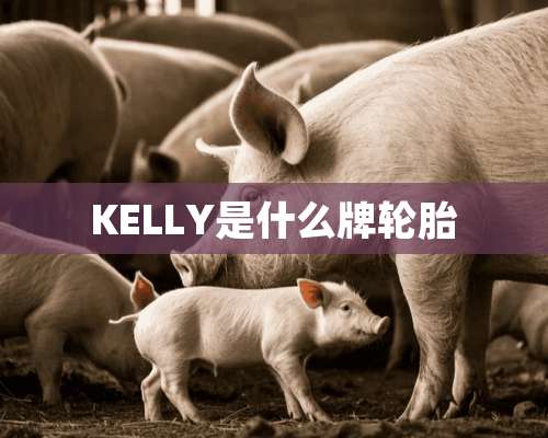 KELLY是什么牌轮胎