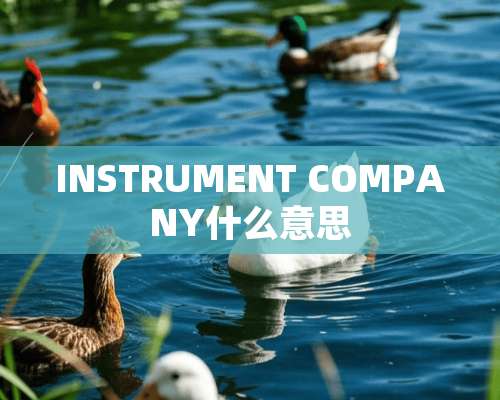 INSTRUMENT COMPANY什么意思