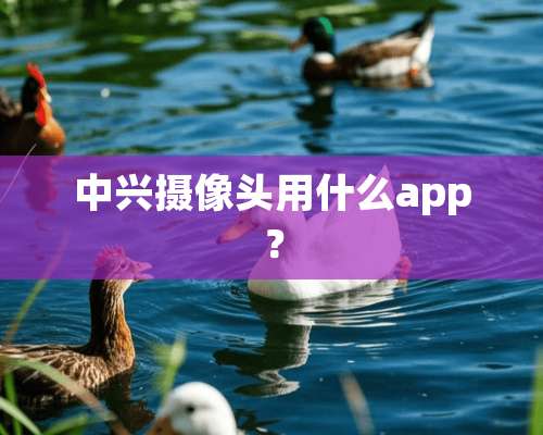 中兴**头用什么app？