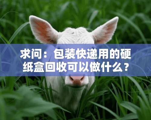 求问：包装快递用的硬纸盒回收可以做什么？