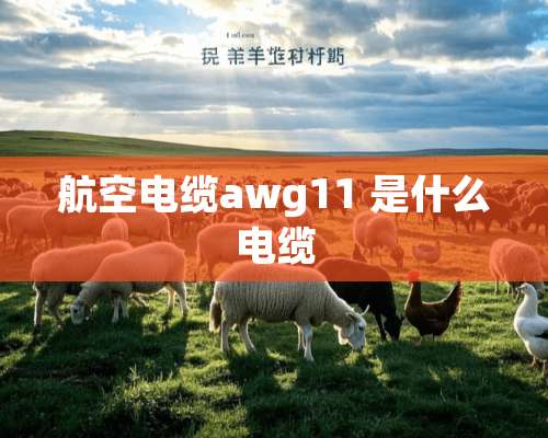 航空电缆awg11 是什么电缆