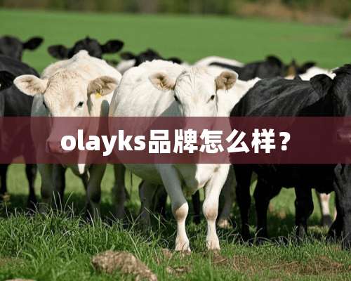 olayks品牌怎么样？