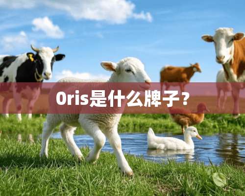 0ris是什么牌子？