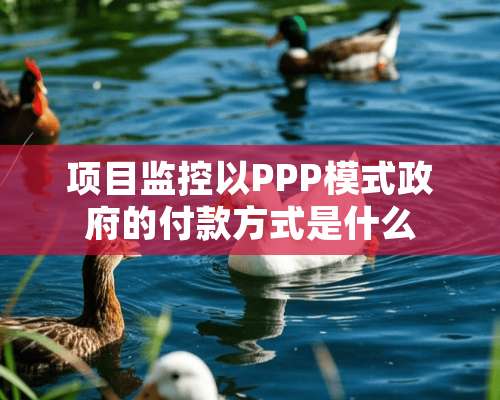 项目监控以PPP模式**的付款方式是什么