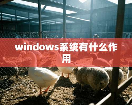 windows系统有什么作用