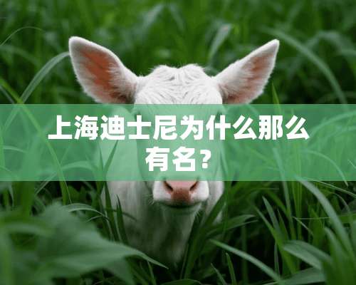 上海迪士尼为什么那么有名？