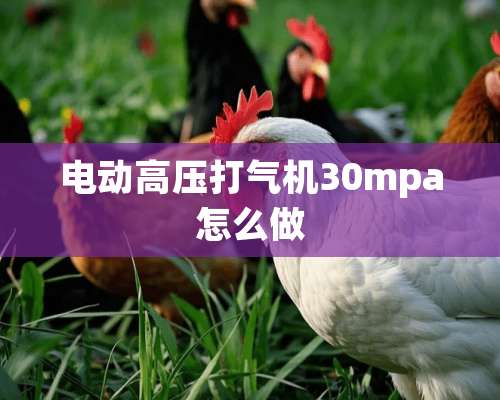 电动高压打气机30mpa怎么做