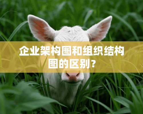 企业架构图和组织结构图的区别？