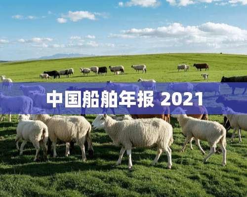 中国船舶年报 2021