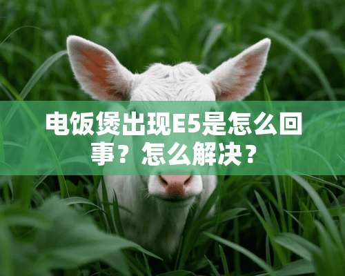 电饭煲出现E5是怎么回事？怎么解决？