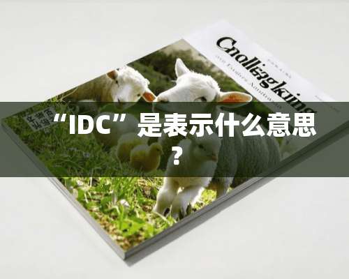 “IDC”是表示什么意思？