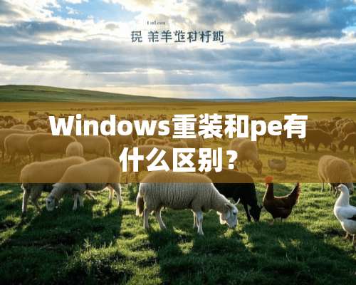 Windows重装和pe有什么区别？