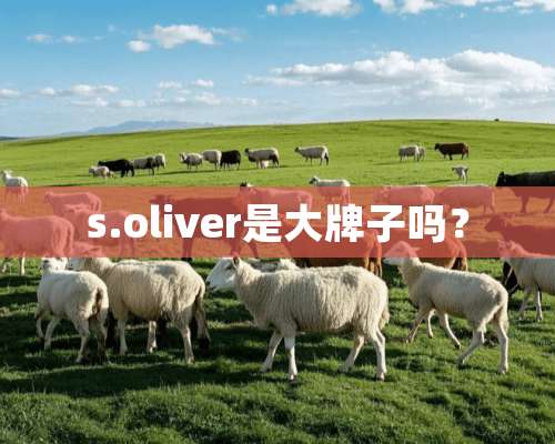 s.oliver是大牌子吗？