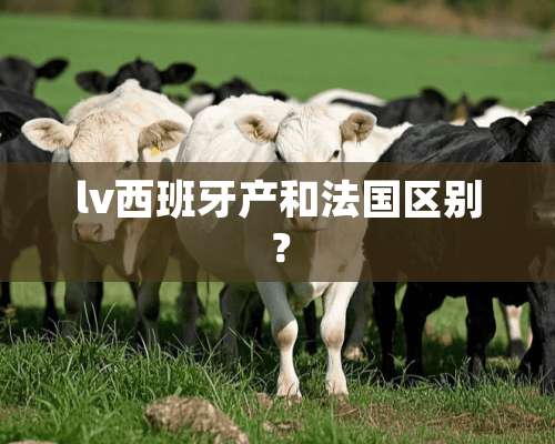 lv西班牙产和法国区别？