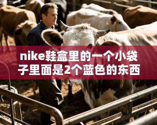 nike鞋盒里的一个小袋子里面是2个蓝色的东西？