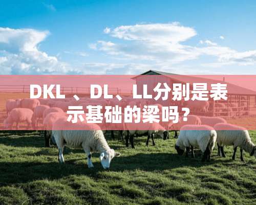 DKL 、DL、LL分别是表示基础的梁吗？