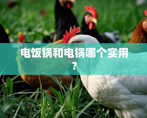 电饭锅和电锅哪个实用？