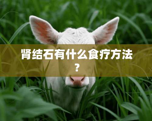 肾结石有什么食疗方法？