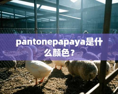 pantonepapaya是什么颜色？