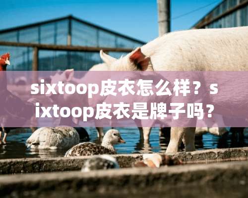 sixtoop皮衣怎么样？sixtoop皮衣是牌子吗？