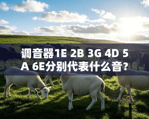 调音器1E 2B 3G 4D 5A 6E分别代表什么音？