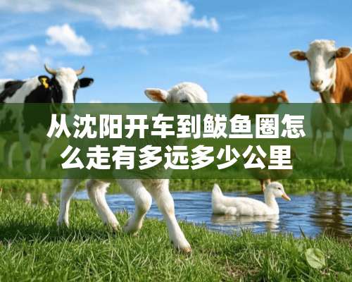 从沈阳开车到鲅鱼圈怎么走有多远多少公里