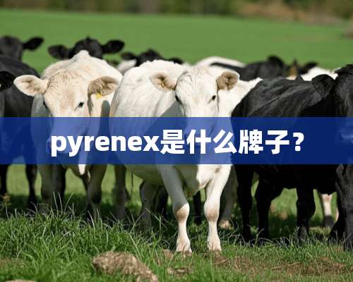 pyrenex是什么牌子？