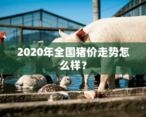 2020年全国猪价走势怎么样？