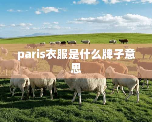 paris衣服是什么牌子意思