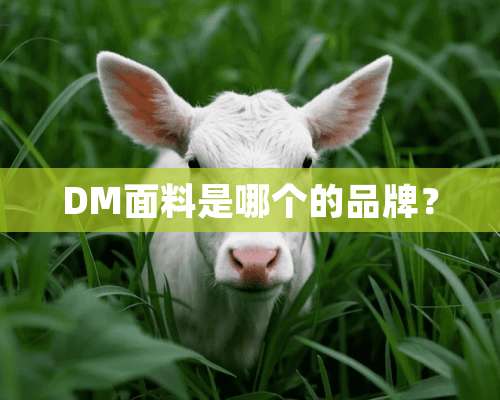 DM面料是哪个的品牌？