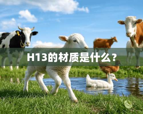 H13的材质是什么？