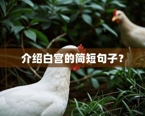 介绍白宫的简短句子？