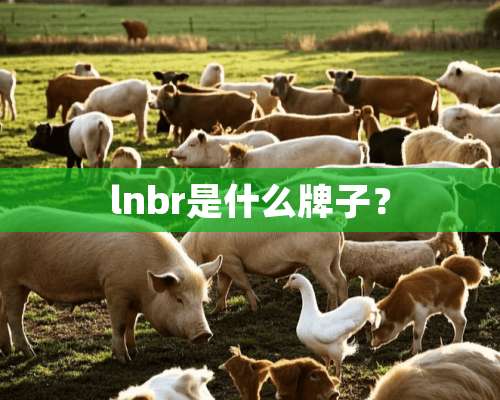 lnbr是什么牌子？