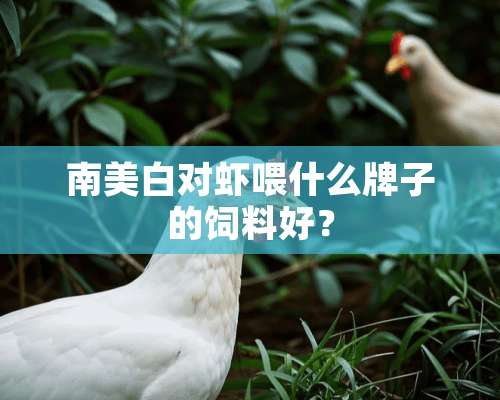 南美白对虾喂什么牌子的饲料好？