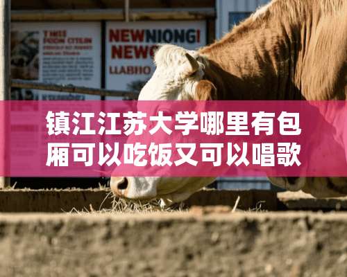 镇江江苏大学哪里有包厢可以吃饭又可以唱歌的？