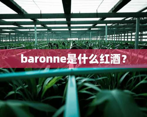 baronne是什么红酒？