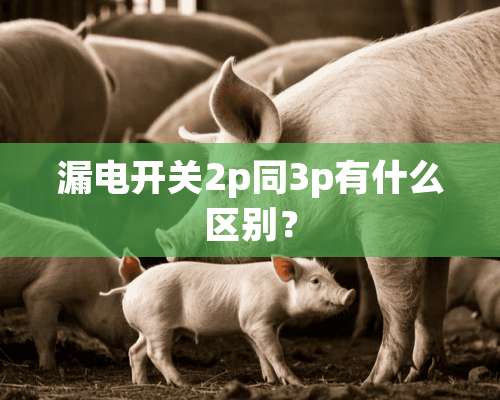 漏电开关2p同3p有什么区别？