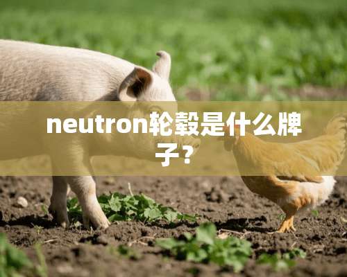 neutron轮毂是什么牌子？