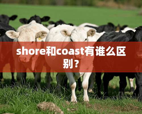 shore和coast有谁么区别？