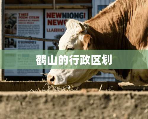 鹤山的行政区划