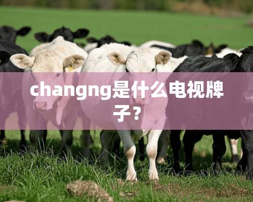 changng是什么电视牌子？