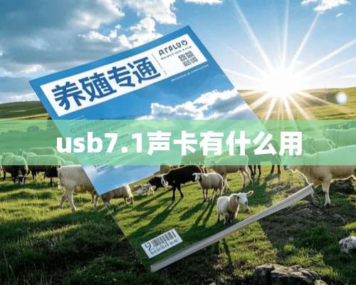 usb7.1声卡有什么用