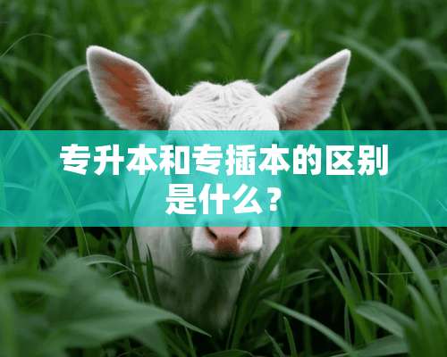 专升本和专插本的区别是什么？