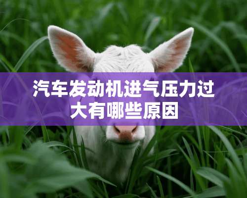 汽车发动机进气压力过大有哪些原因