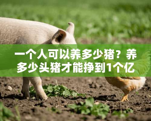 一个人可以养多少猪？养多少头猪才能挣到1个亿？