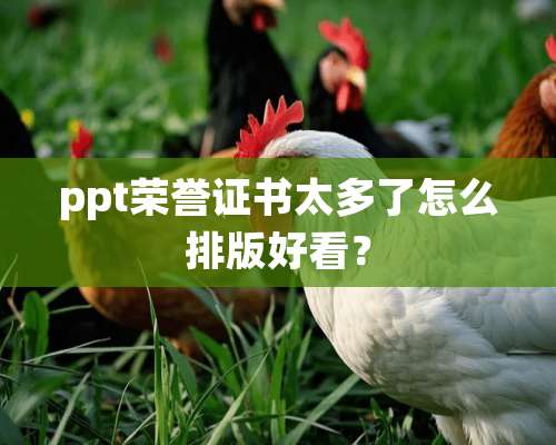 ppt荣誉证书太多了怎么排版好看？